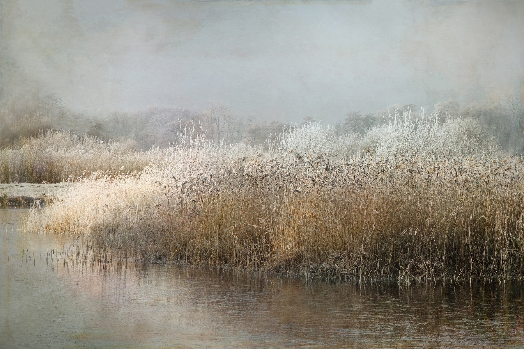 Frosty Riverbank Wall Mural -1649227