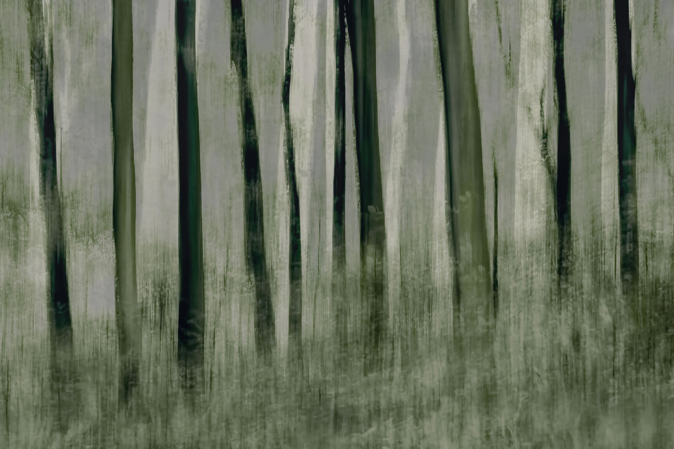 Forest Whisper Wall Mural -1870209