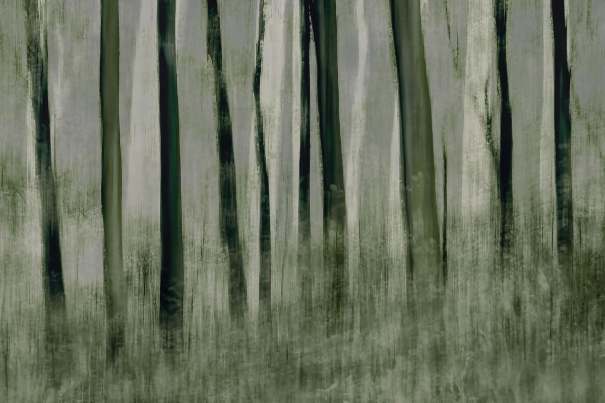 Forest Whisper Wall Mural -1870209