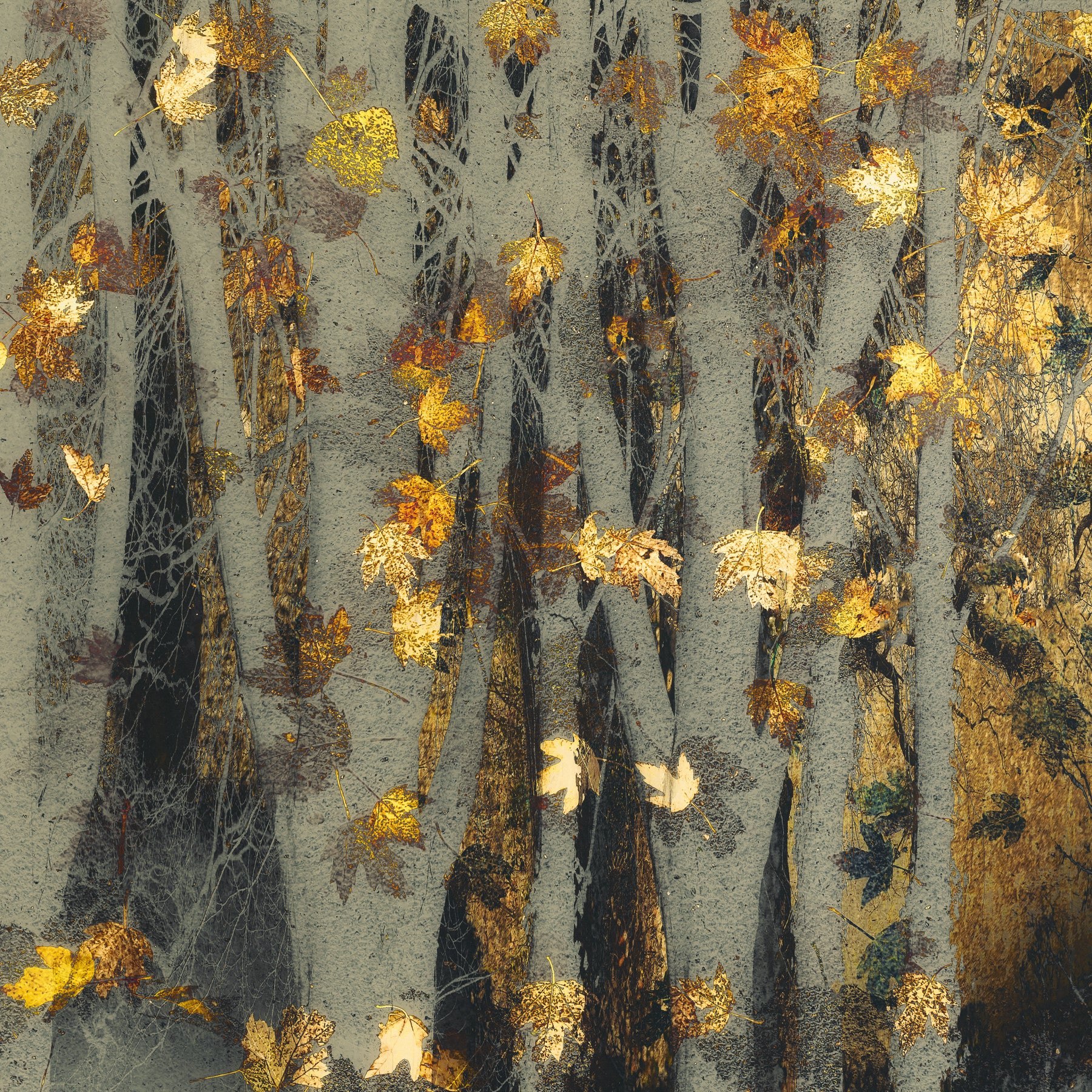 Gilded Autumn Woods Wall Mural -2163434
