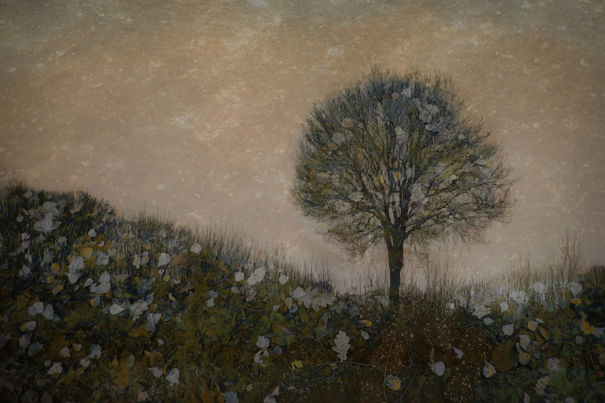 Autumnal Dreams Wall Mural -1645154 in your room — zoomed