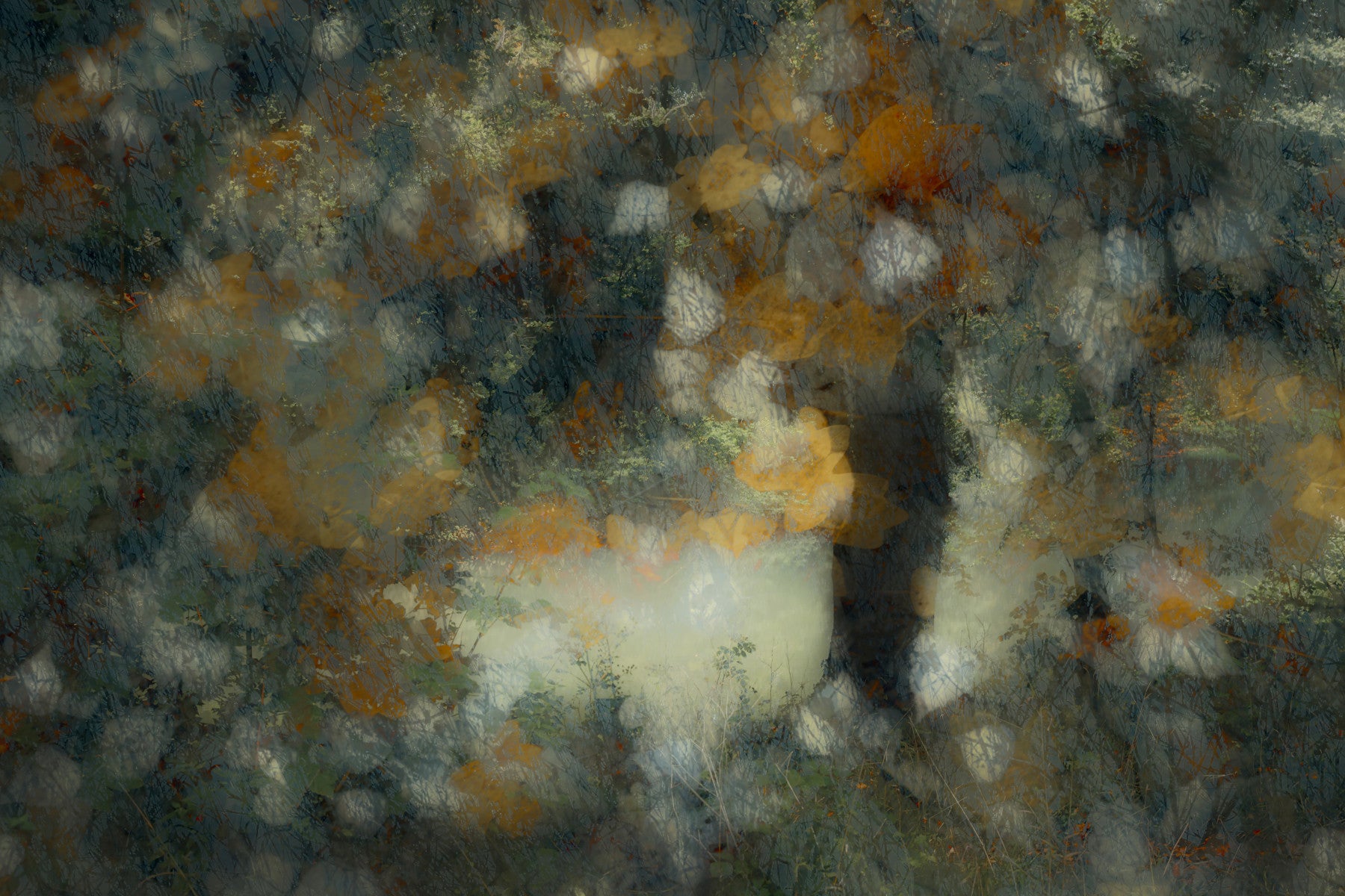 Ethereal Autumn Haze Wall Mural -1785266