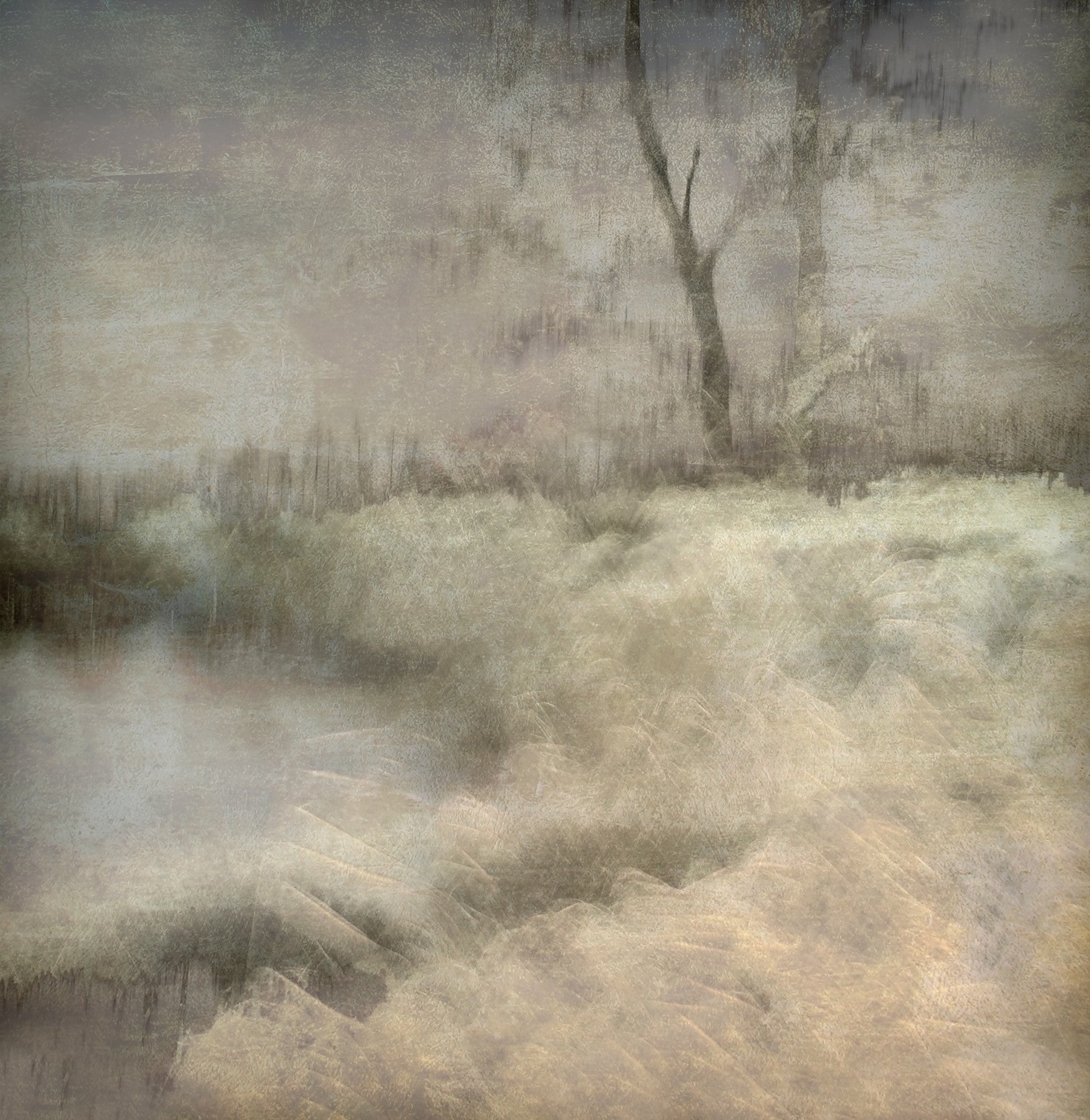 Ethereal Whispers Wall Mural