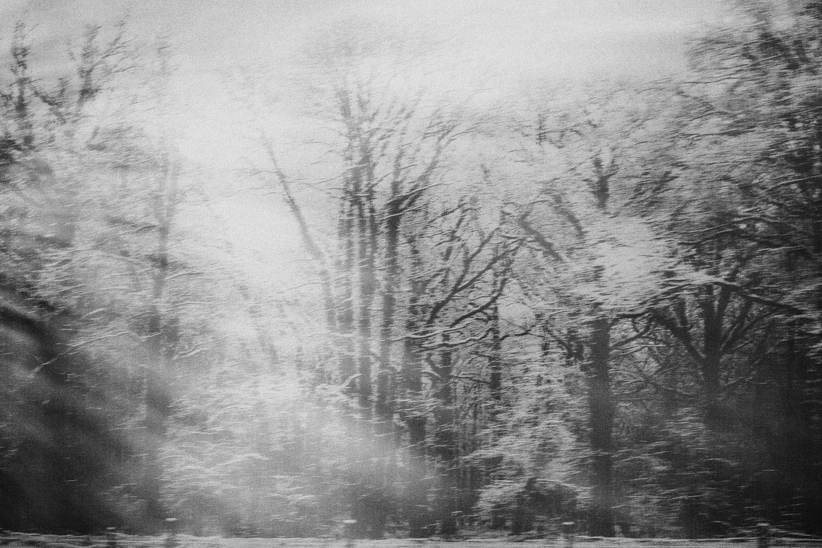 Winter's Whisper Wall Mural - 2679798 in your room — zoomed