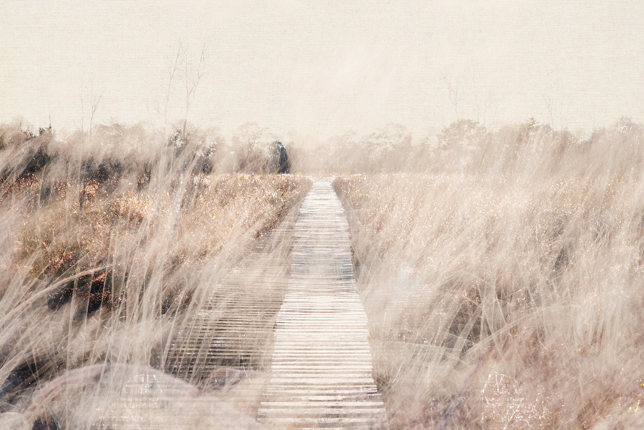Whispers of the Marsh Path Wall Mural -2679770