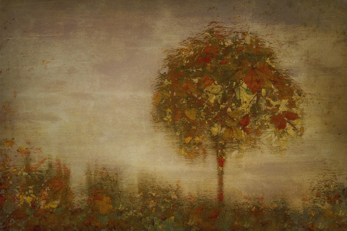 Autumnal Hues Wall Mural -1457825