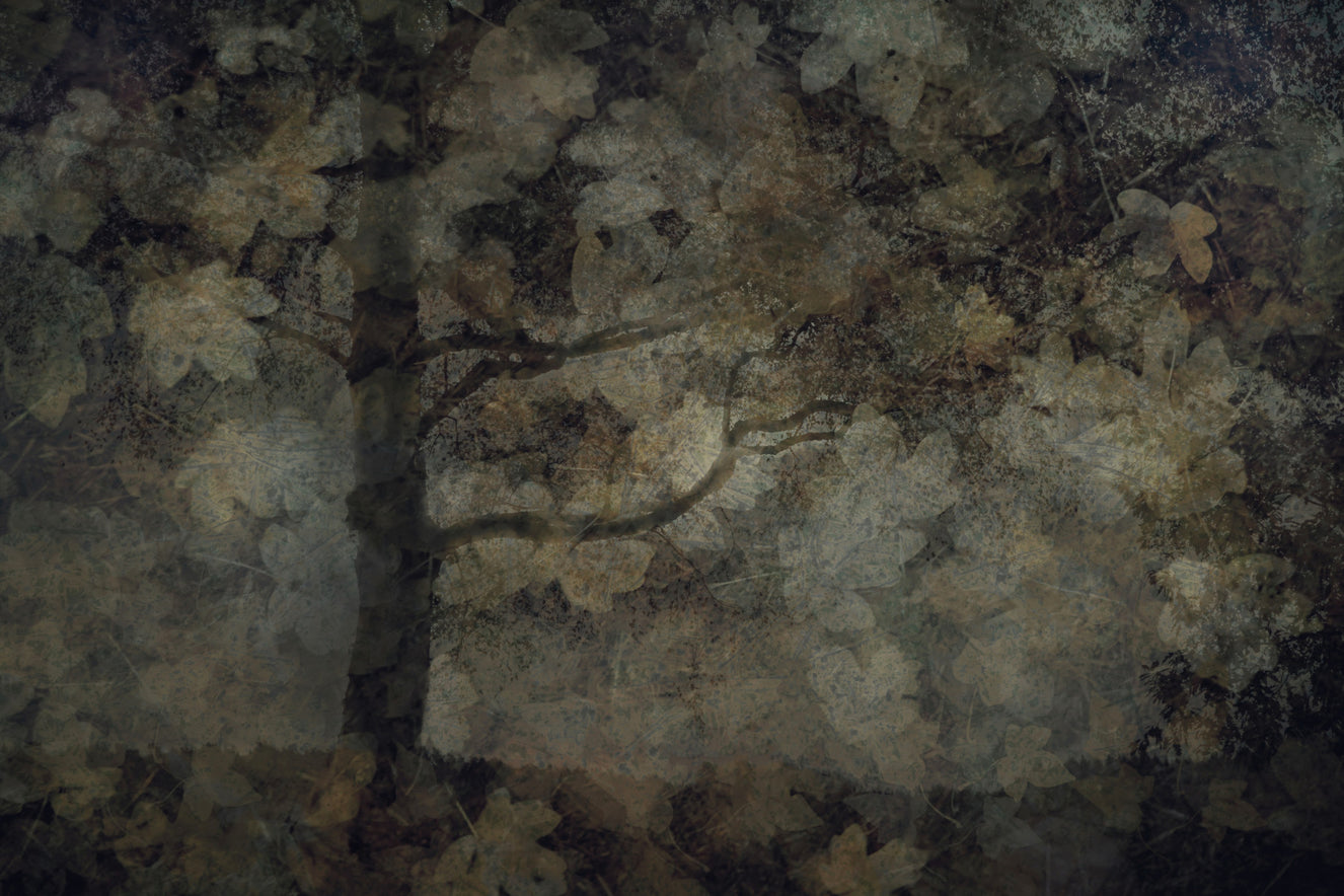 Ethereal Woodland Wall Mural -1760532