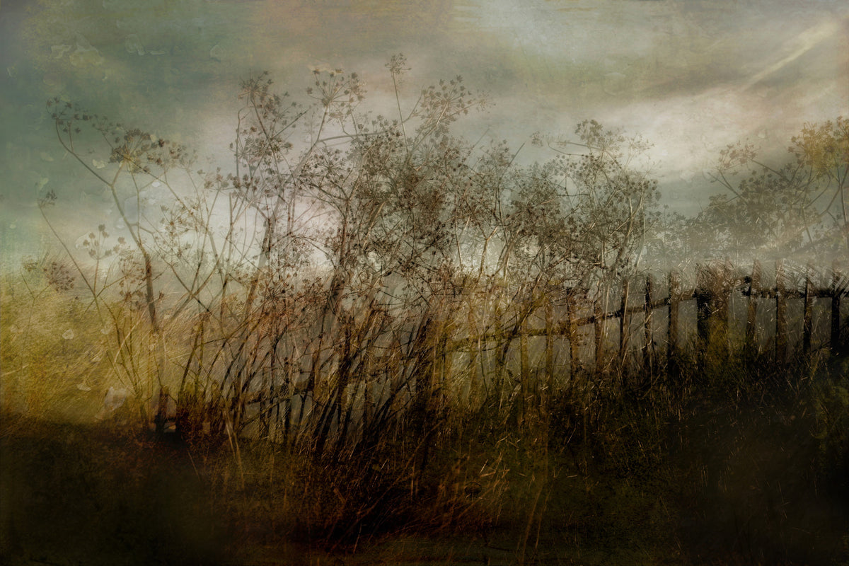 Overgrown Haze Wall Mural -1590772 in your room — zoomed