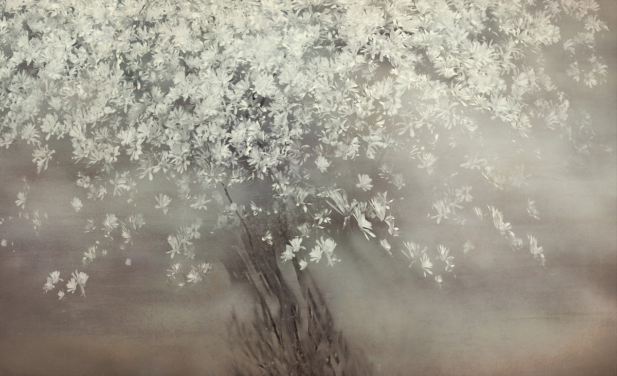 Ethereal Bloom Tree Wall Mural -2049310