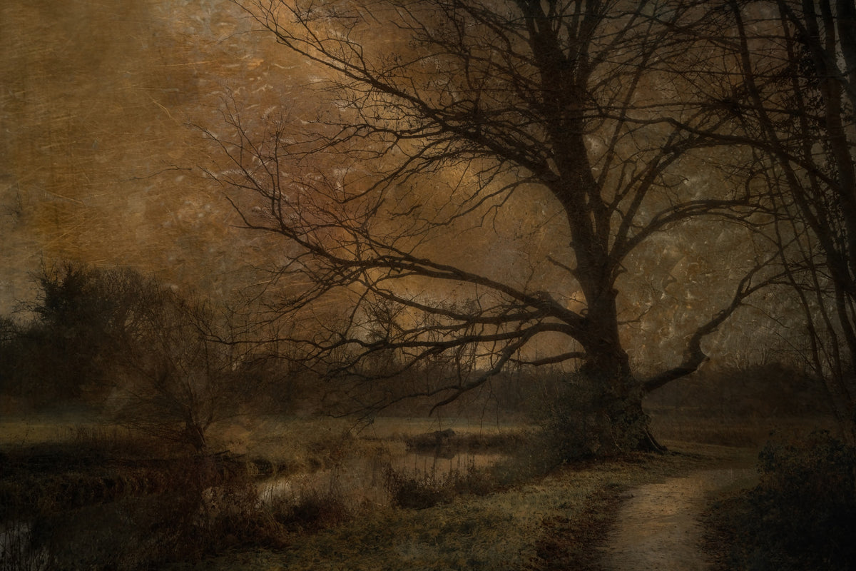 Golden Grove Twilight Wall Mural -1644233 in your room — zoomed