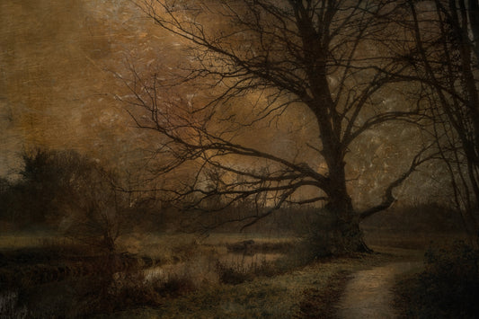 Golden Grove Twilight Wall Mural -1644233