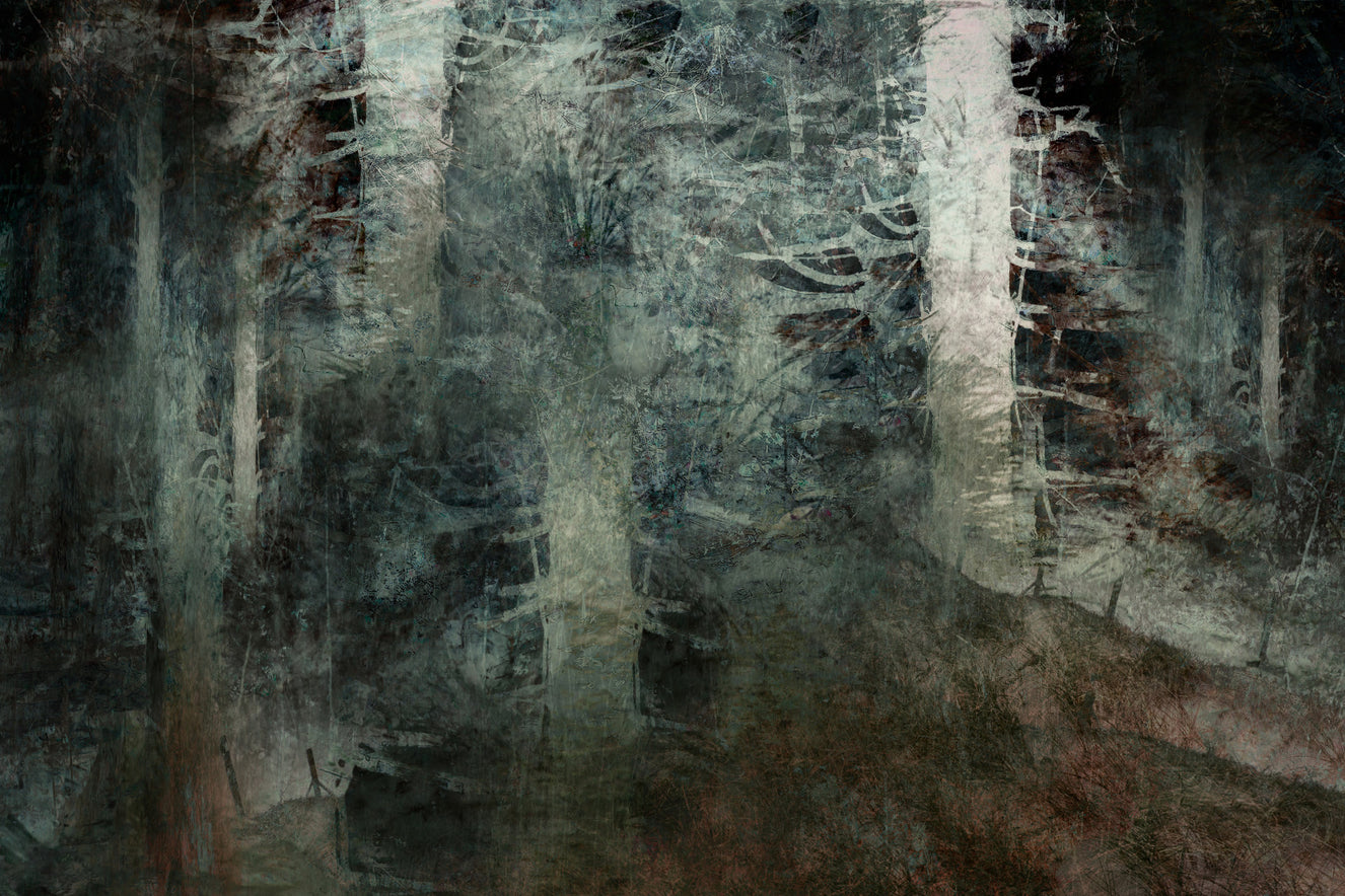 Ethereal Forest Dream Wall Mural -1946610