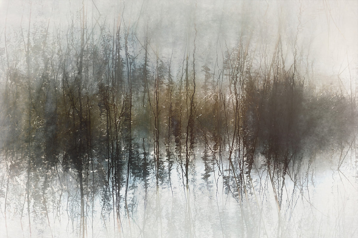 Ethereal Reflection Wall Mural -2270873 in your room — zoomed