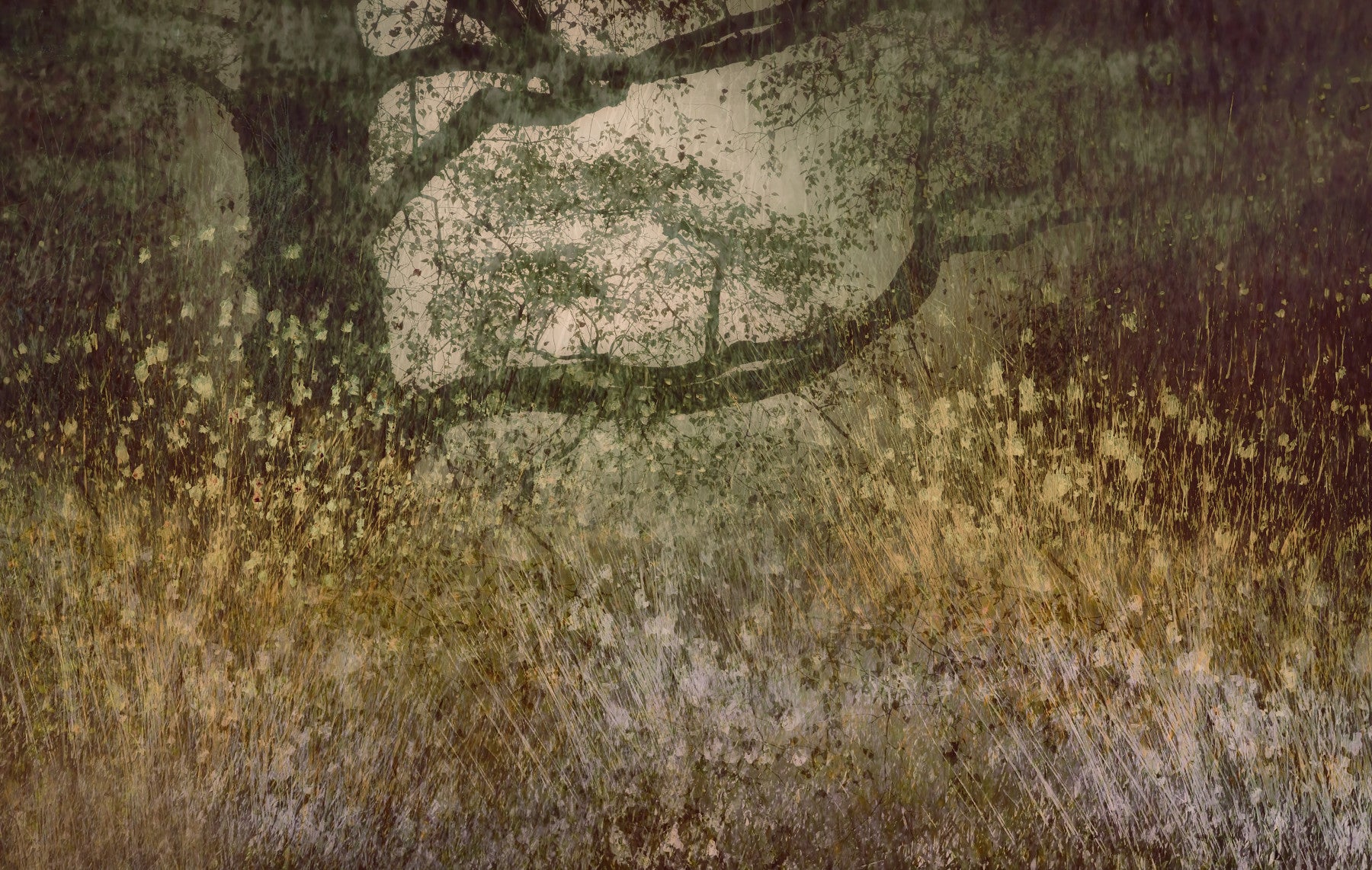 Filtered Light Wall Mural -1942075