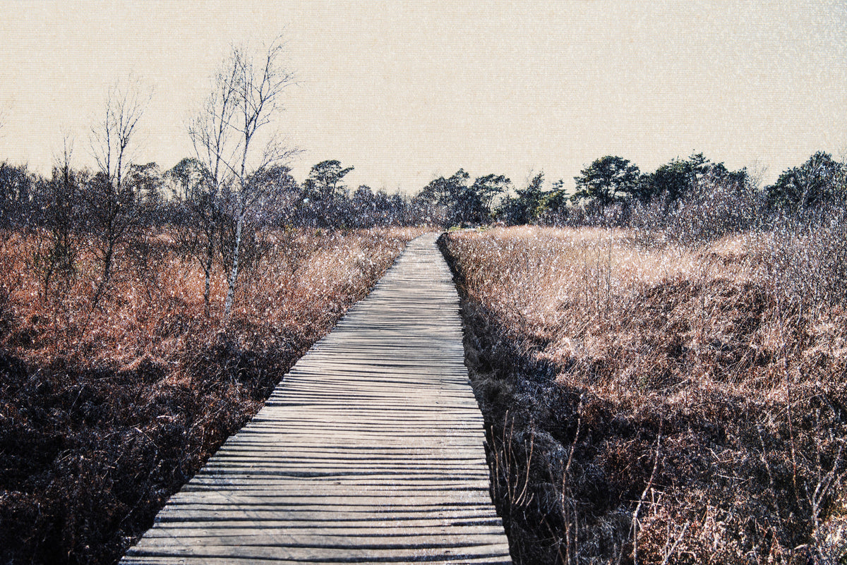 Trail's End Serenity Wall Mural - 2679767