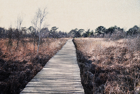 Trail's End Serenity Wall Mural - 2679767