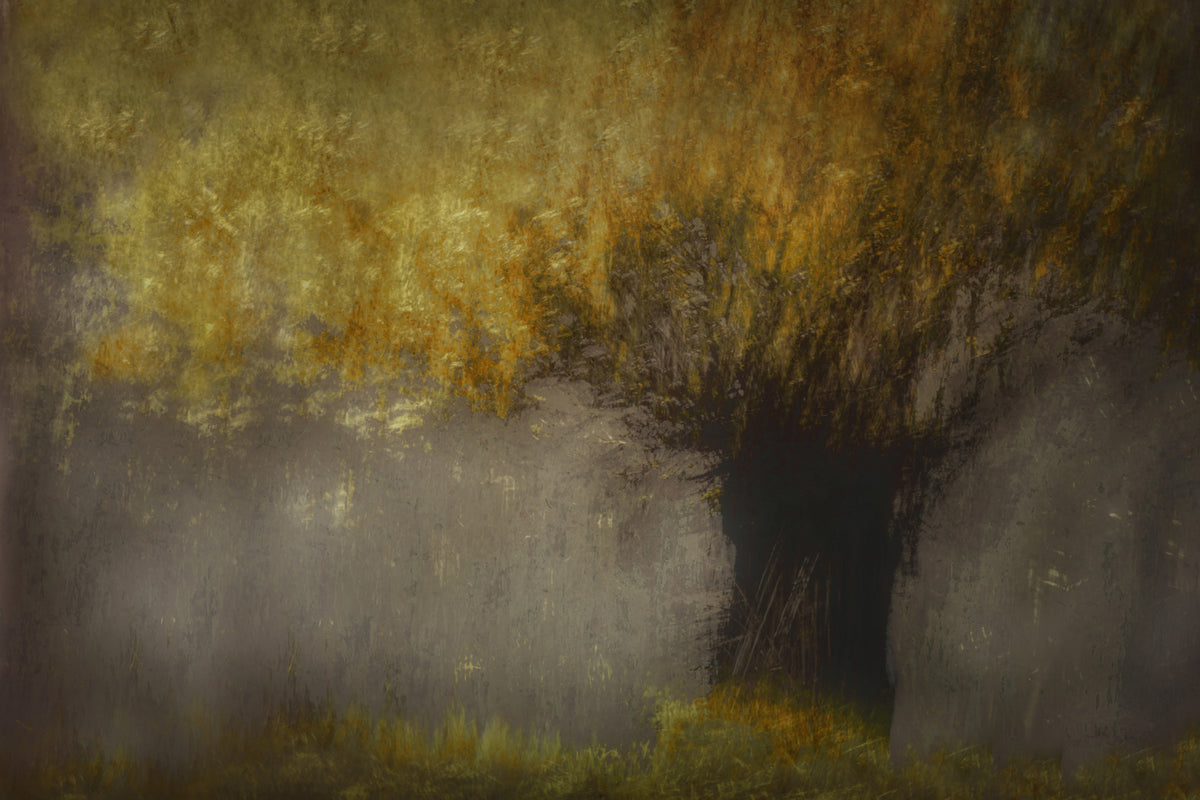 Ethereal Woods Wall Mural -1442596