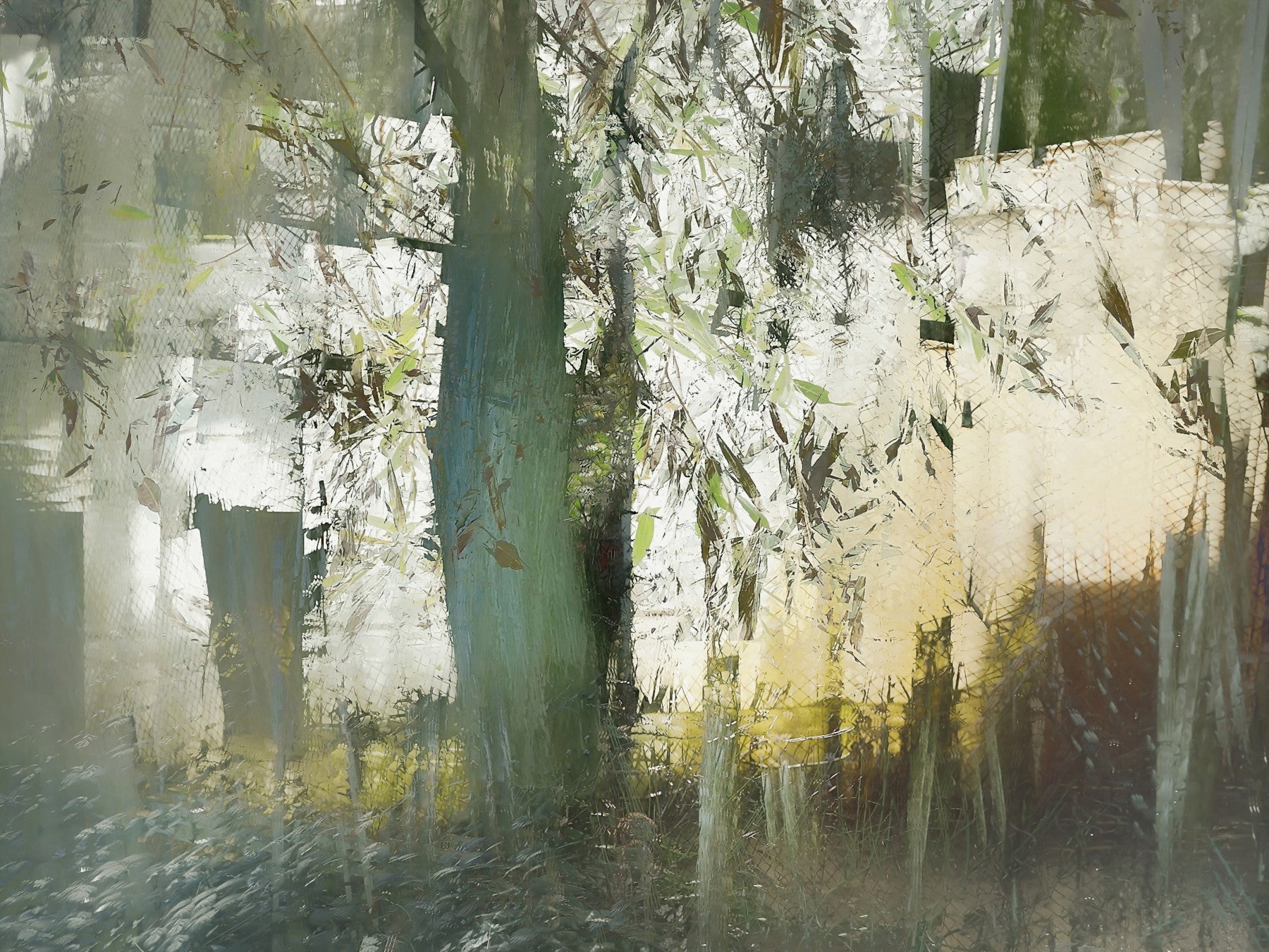 Misty Woodland Abstraction Wall Mural -2377428