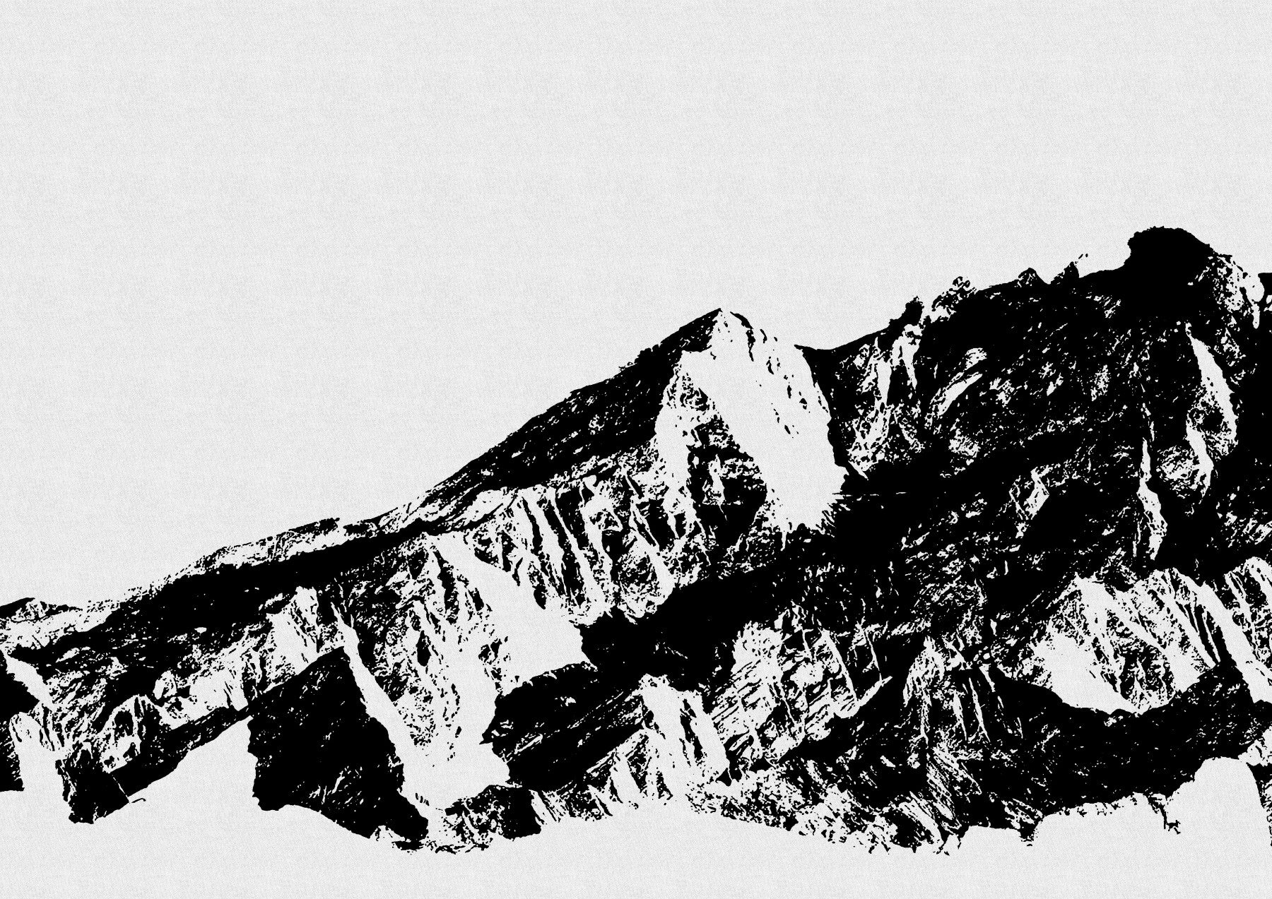 Monochrome Majesty Wall Mural -2594671