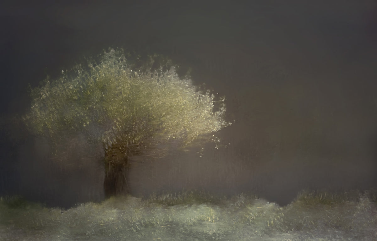 Luminous Tree Wall Mural -1430994 in your room — zoomed