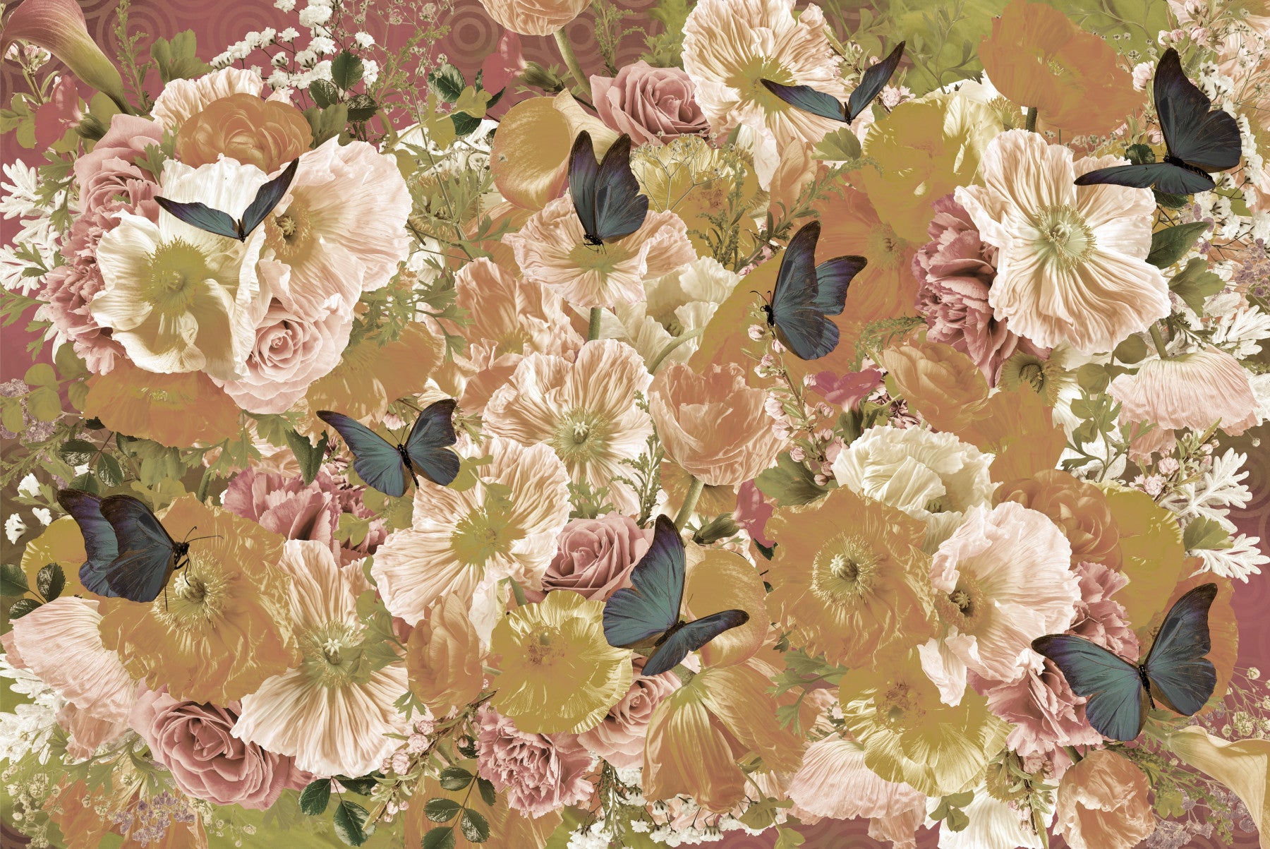 Butterfly Garden Bloom Wall Mural -2605244