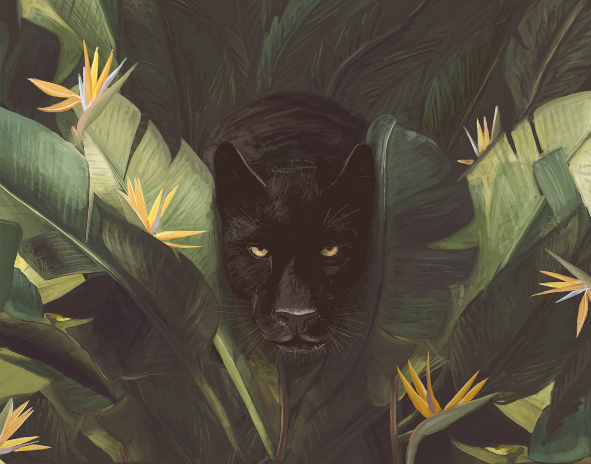 Jungle Noir Hidden Gaze Wall Mural -2489655 in your room — zoomed