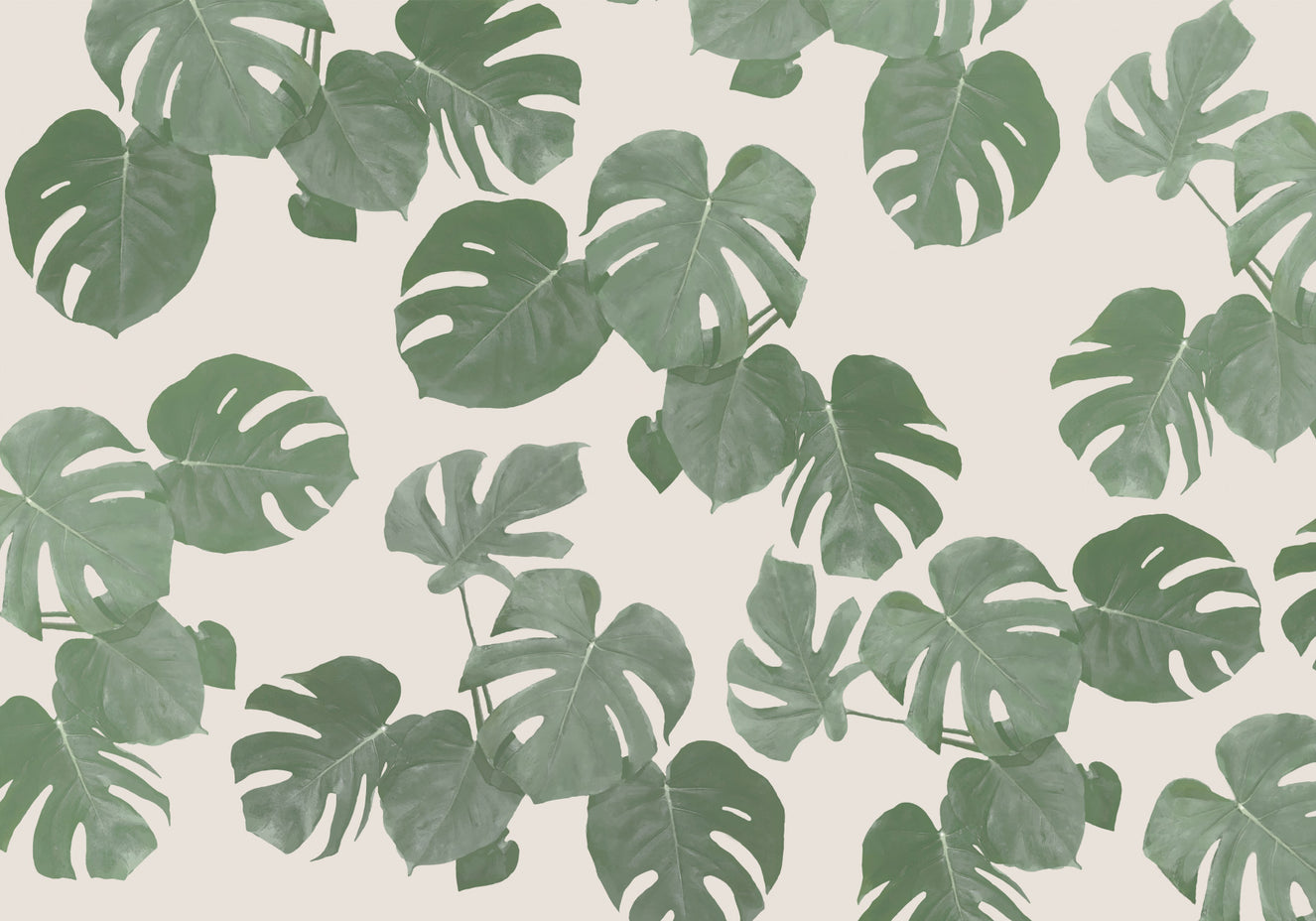 Monstera Dreams Wall Mural