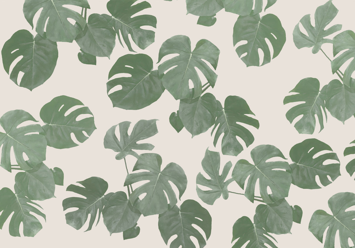 Monstera Dreams Wall Mural in your room — zoomed
