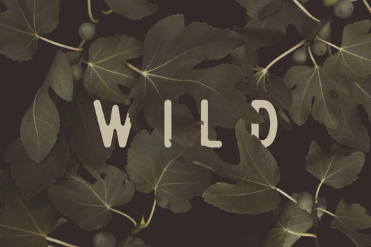 Fig Leaves Stay Wild Wall Mural -2489734