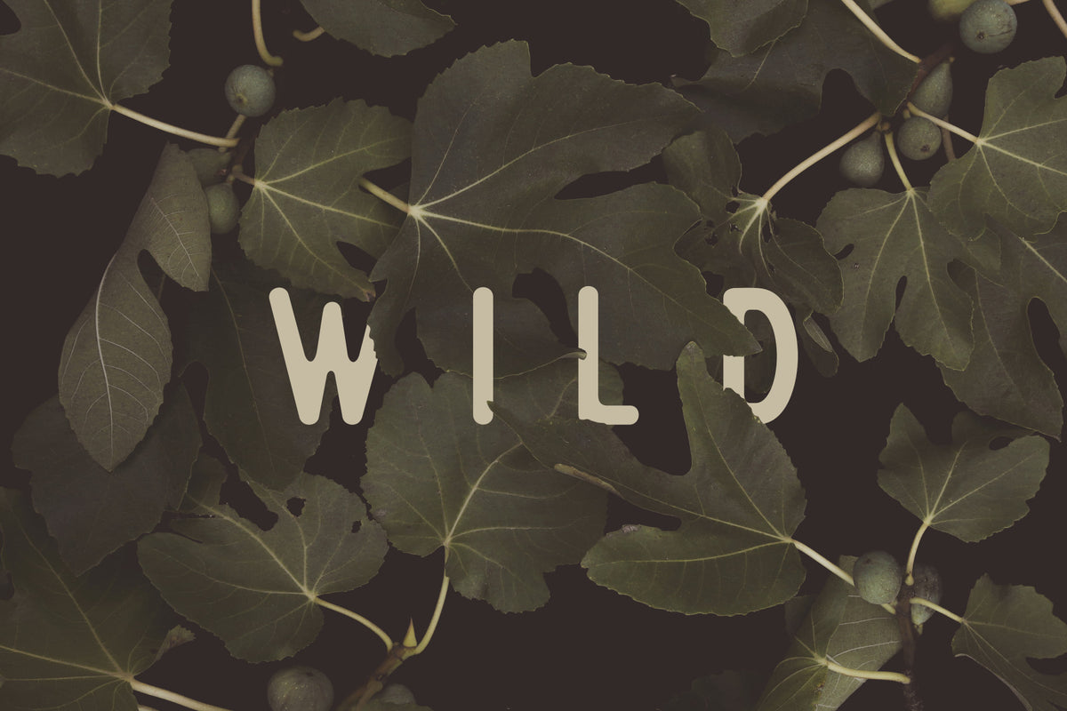 Fig Leaves Stay Wild Wall Mural -2489734