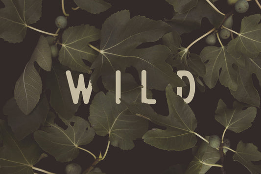 Fig Leaves Stay Wild Wall Mural -2489734