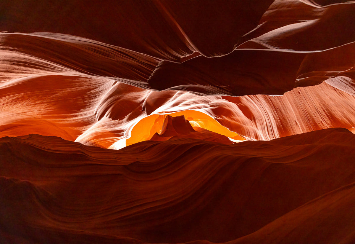 Antelope's Embrace Wall Mural - 2328055 in your room — zoomed