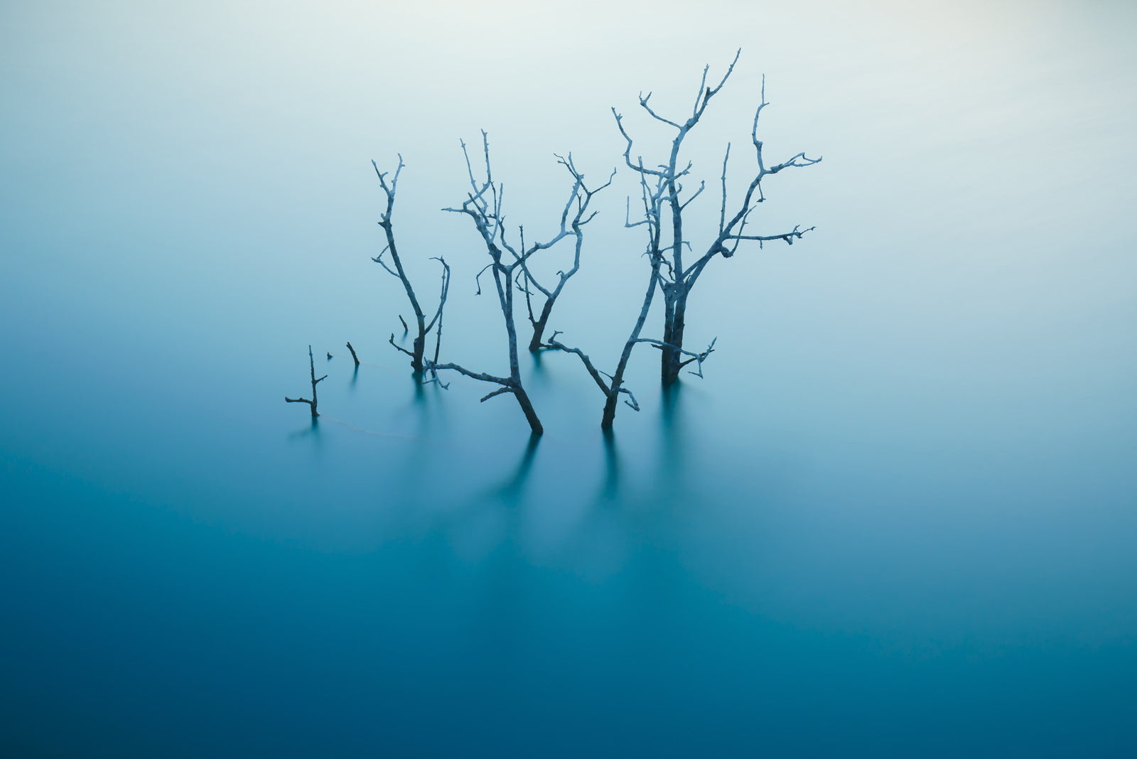 Aqua Reflections Wall Mural -2323746