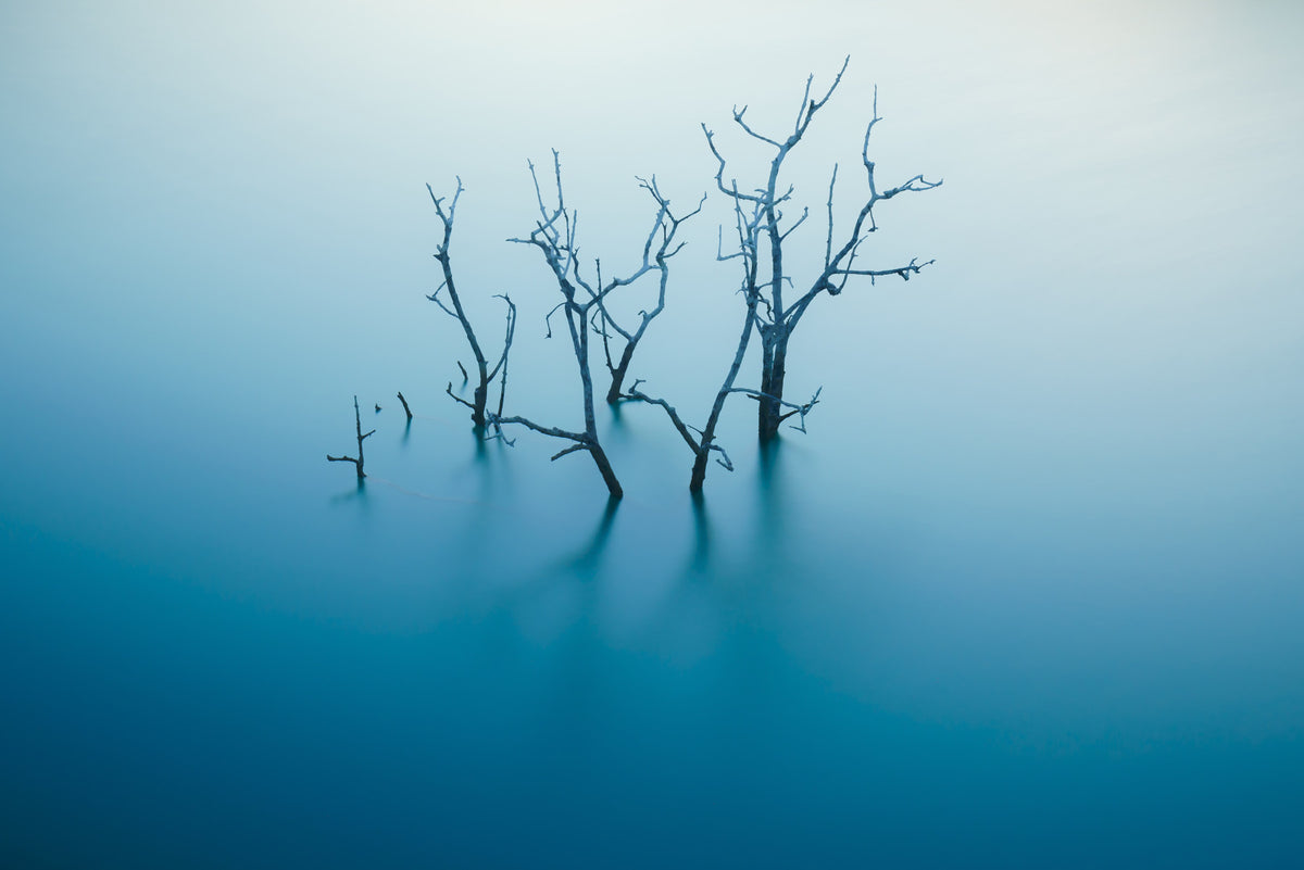 Aqua Reflections Wall Mural -2323746 in your room — zoomed