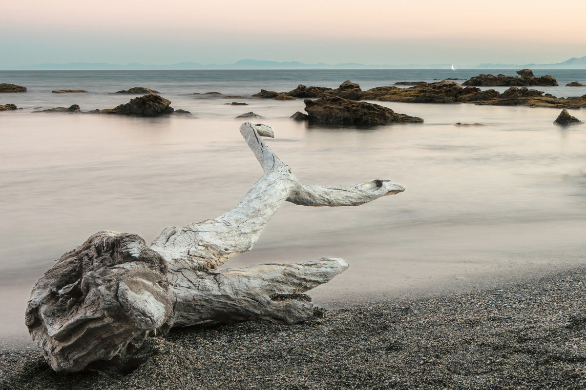 Shoreline Symphony Wall Mural -2595816 in your room — zoomed