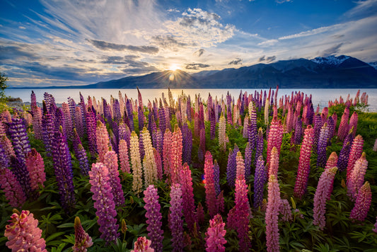 Floral Lake Dawn Wall Mural -2306485