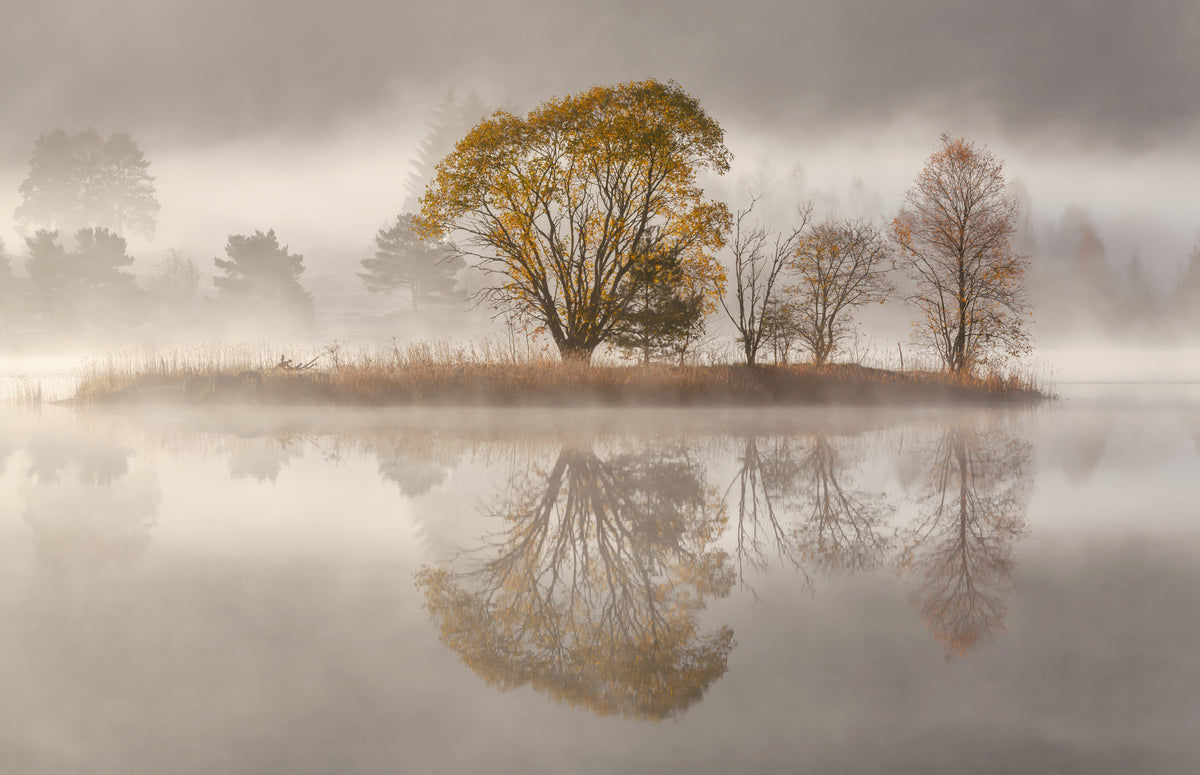 Autumnal Serenity Wall Mural -2425987