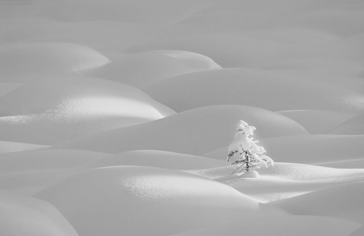 Snowscape Serenity Wall Mural -2178787 in your room — zoomed