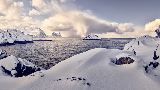Arctic Dreamscape Wall Mural
