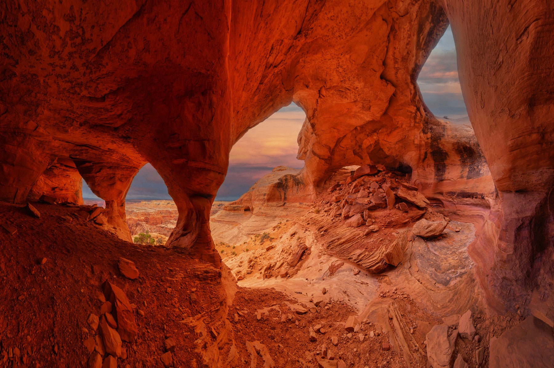 Red Rock Arches Wall Mural -2338549