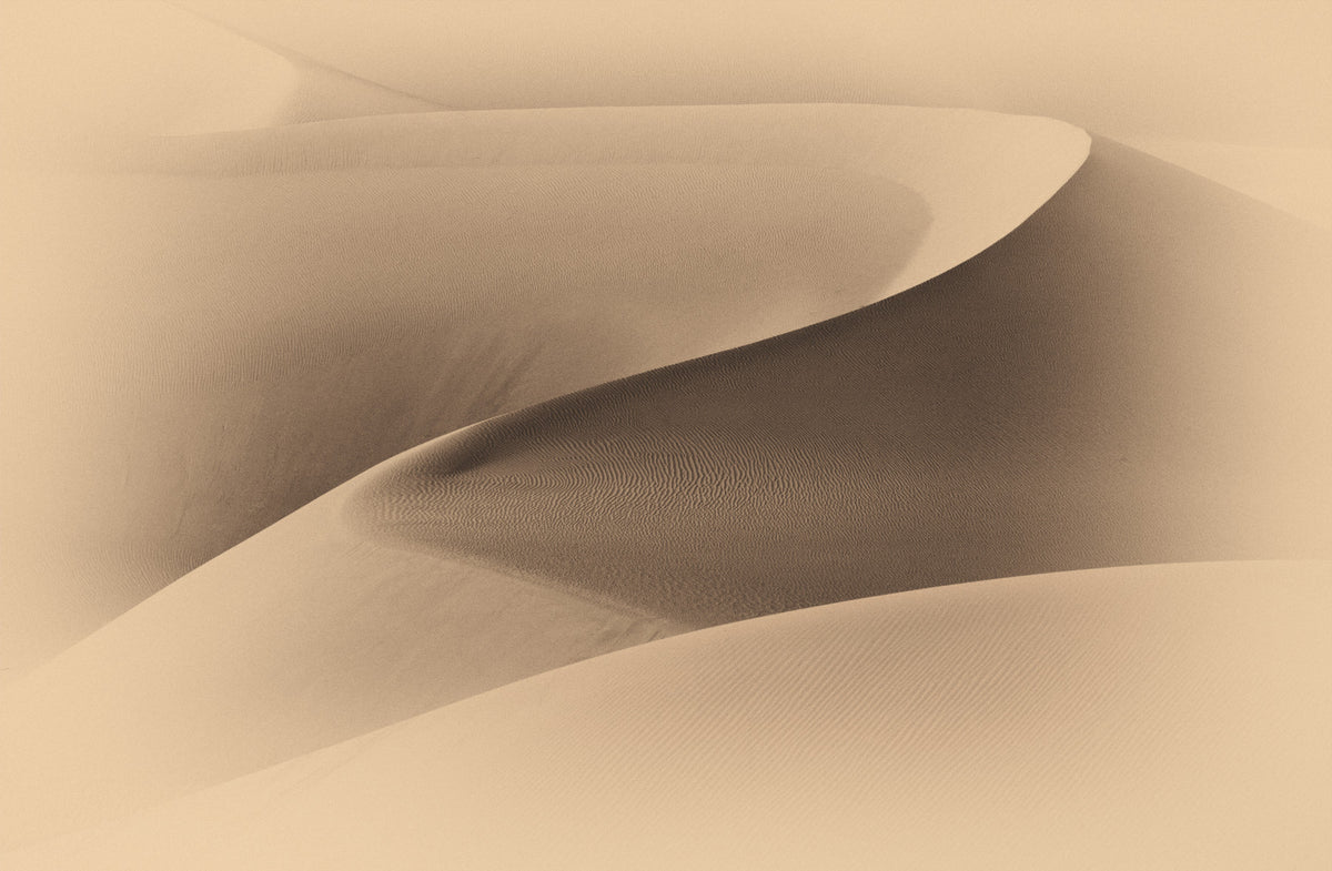 Desertscape Wall Mural -2310080