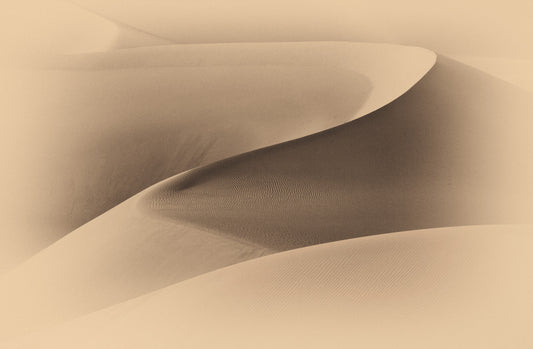 Desertscape Wall Mural -2310080