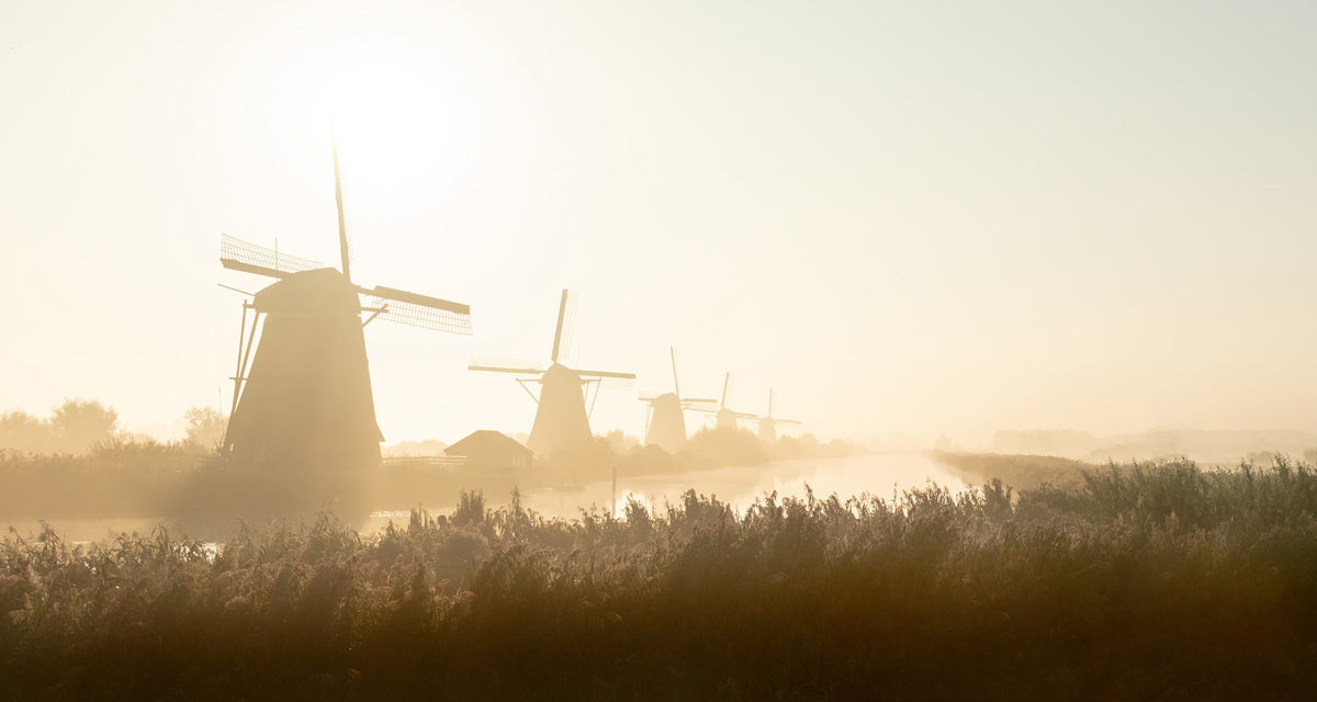 Golden Hour at Kinderdijk Wall Mural -2352343 in your room — zoomed