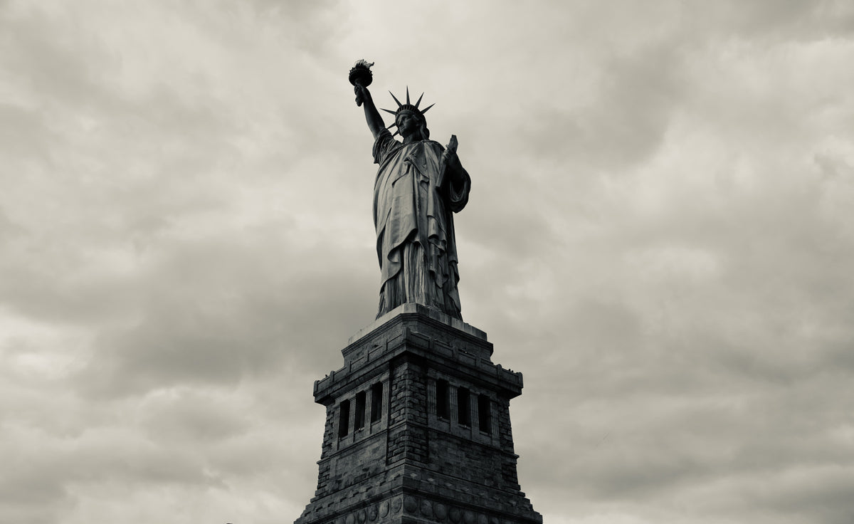 Liberty's Monochrome Gaze Wall Mural - 2313701 in your room — zoomed