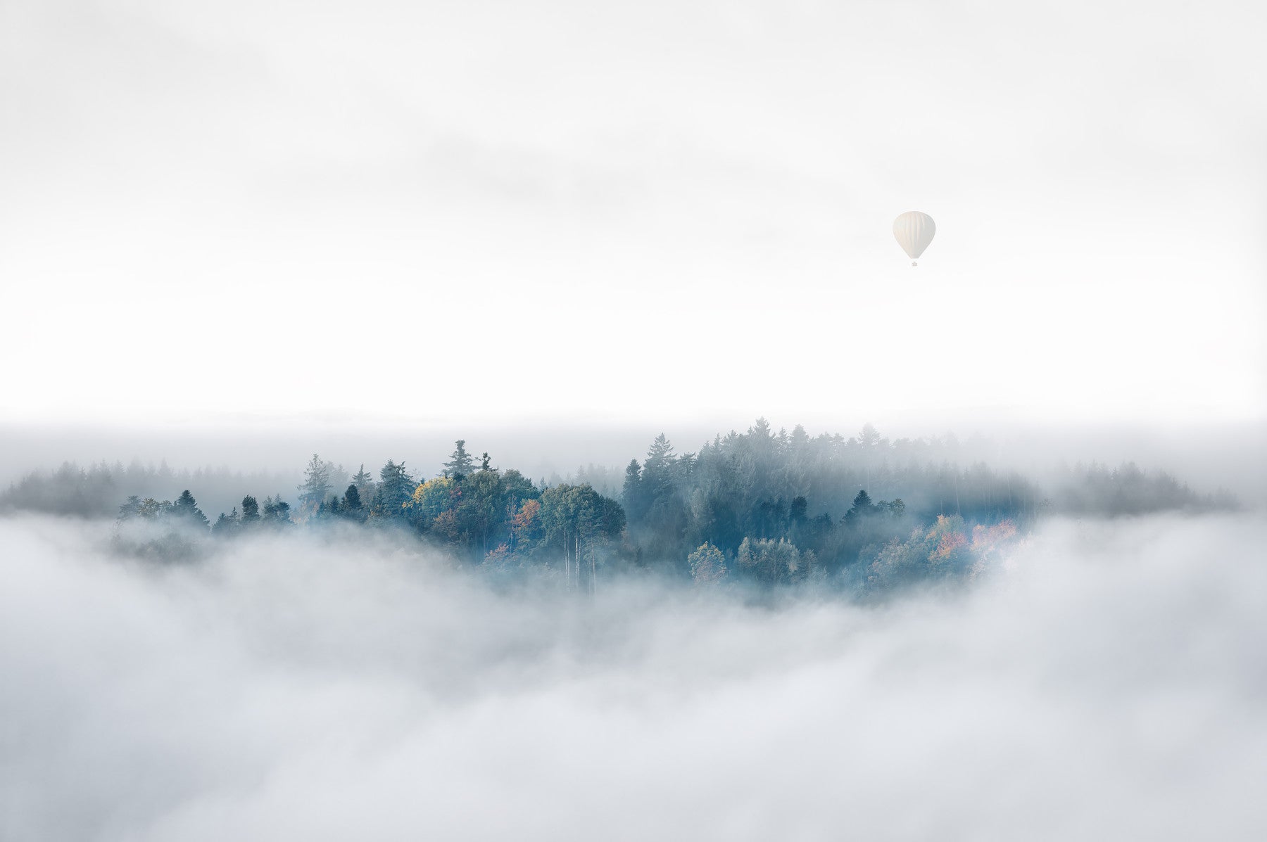 Above the Mist Wall Mural -2174342