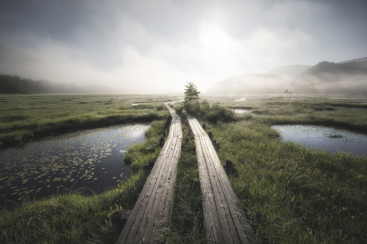 Ethereal Path Wall Mural -2284946 in your room — zoomed