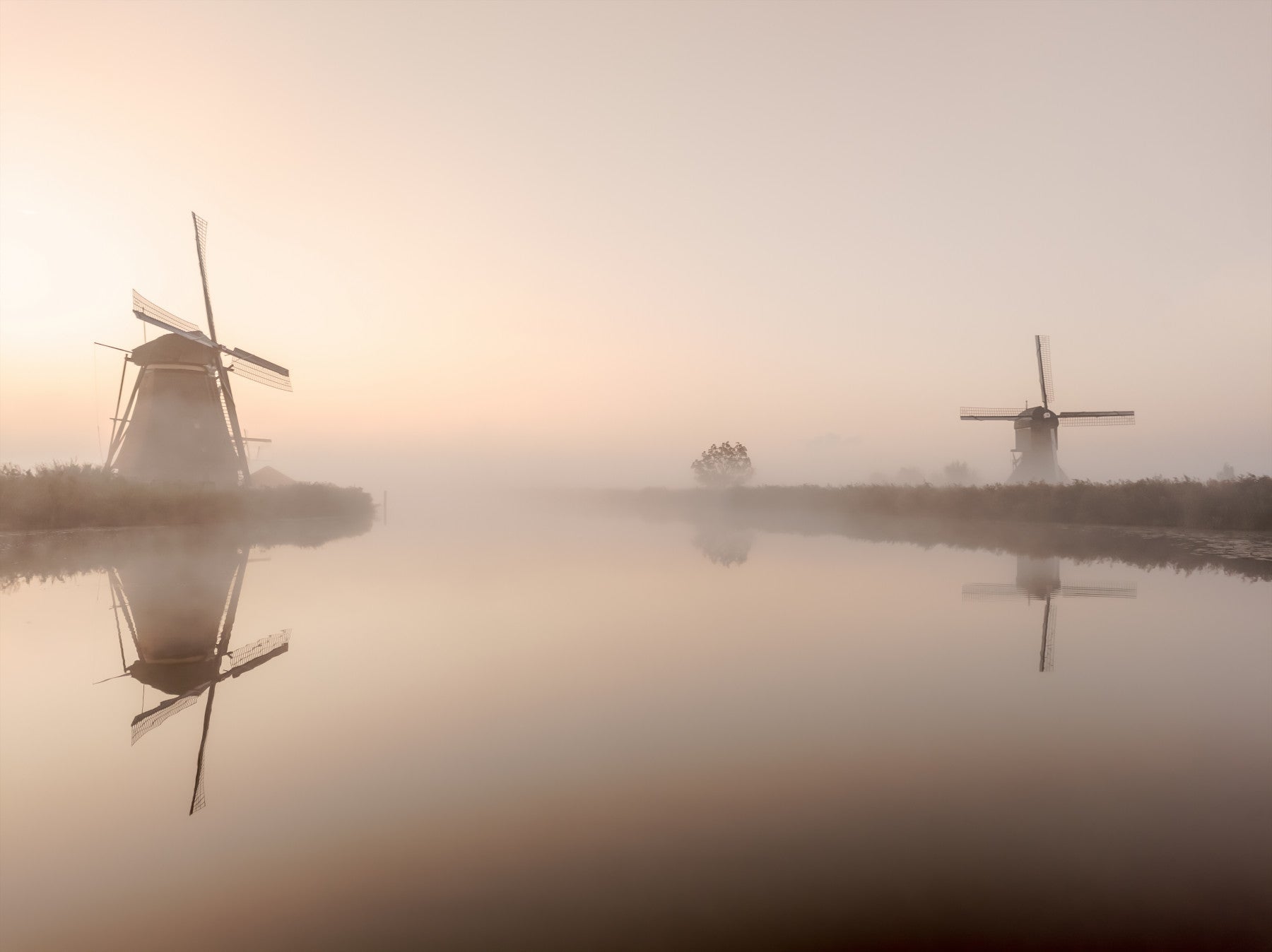 Golden Hour Windmills Wall Mural -2351700 in your room — zoomed