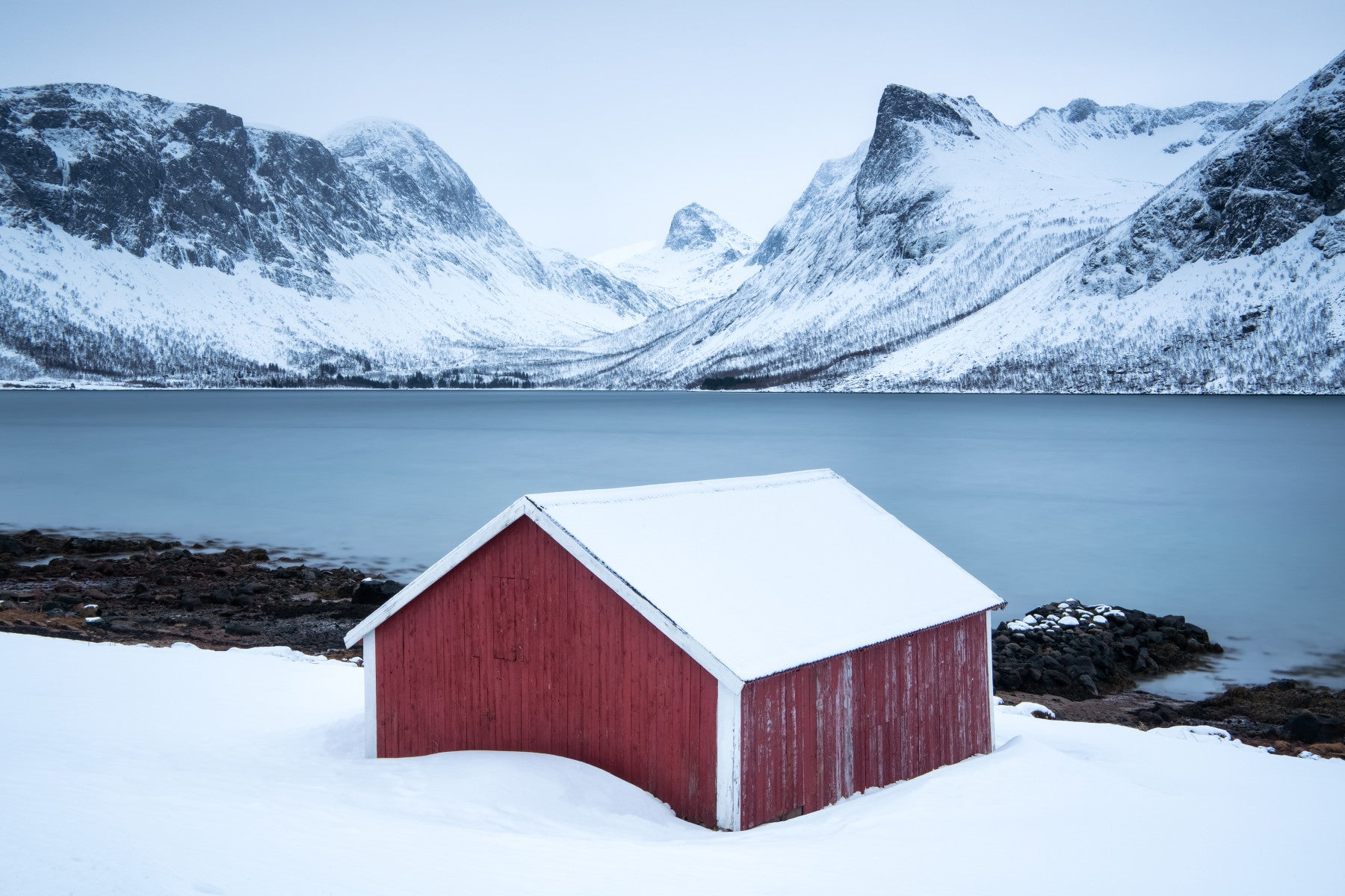 Winter Solitude Wall Mural -2213163