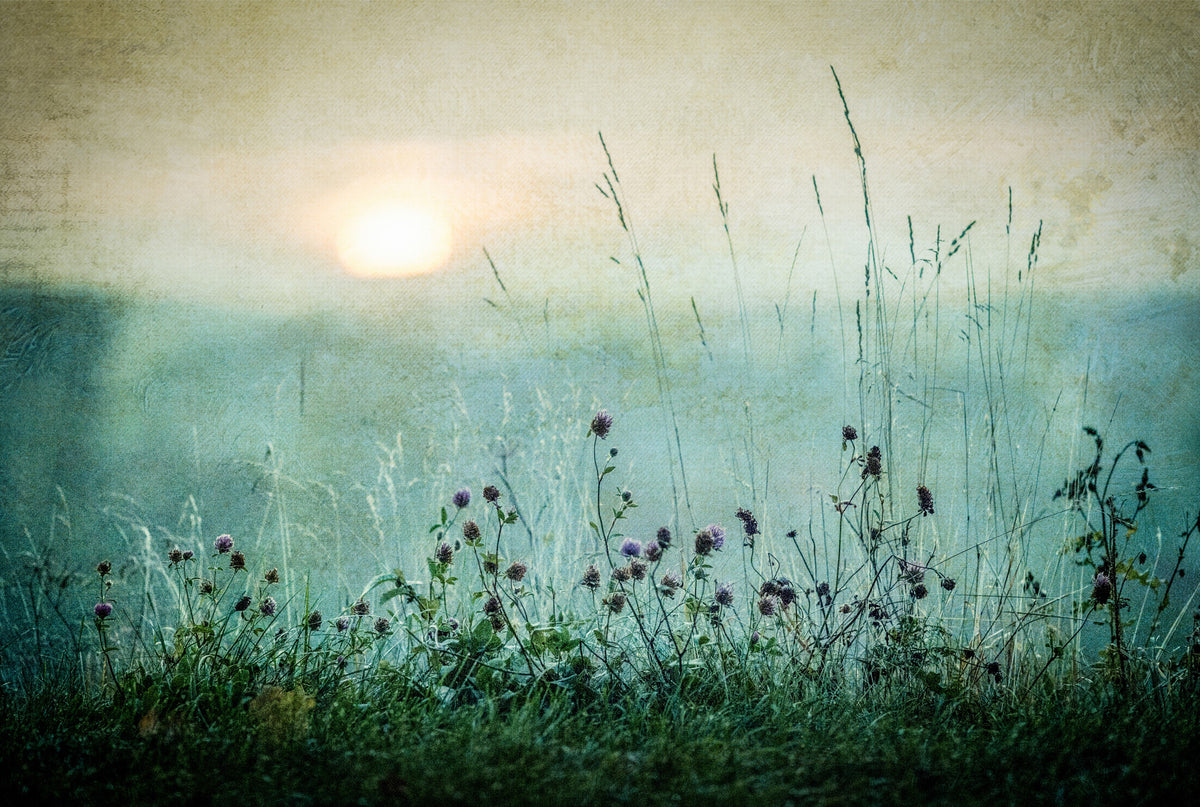 Vintage Meadow Dawn Wall Mural -1026605 in your room — zoomed