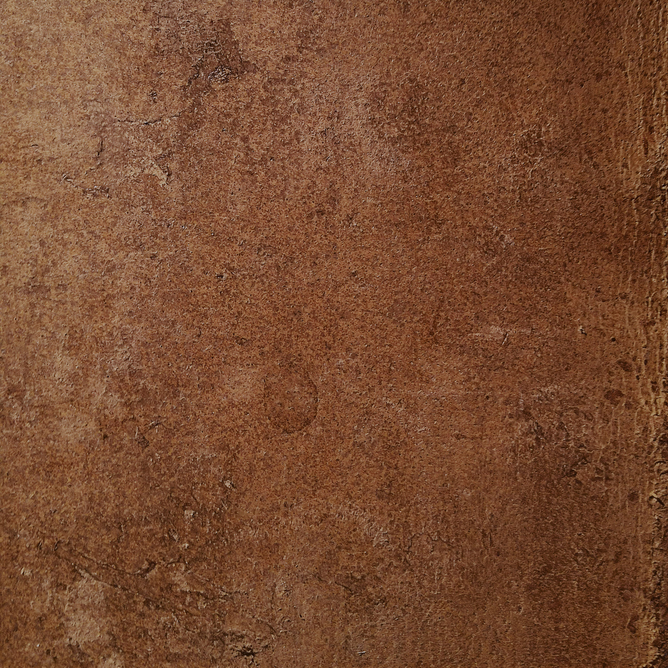 Aged Leather - Saddle Wall Mural